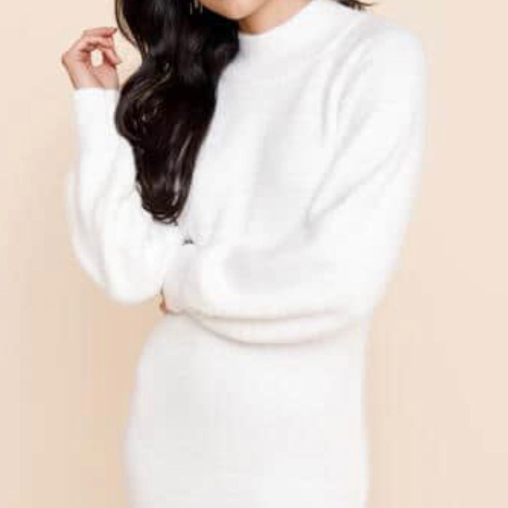 NWT Fuzzy Mock Neck Sweater Mini Dress